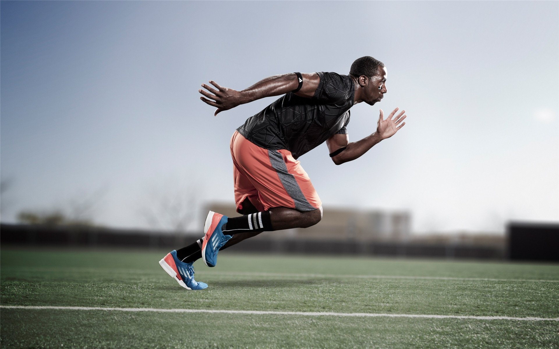 世界杯惨败后重组的国家队 在下届欧预赛中表现令人刮目